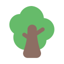 Árbol icon