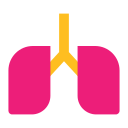 pulmones icon