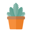 cactus icon