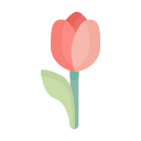 tulipán icon