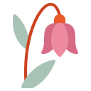 campanilla icon