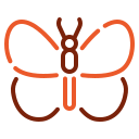 mariposa icon