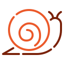 caracol icon