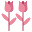 tulipán icon