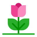 tulipán icon