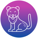 tigre icon