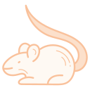 ratón 