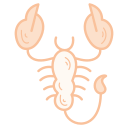 Scorpio icon