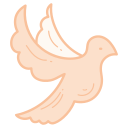 Dove icon