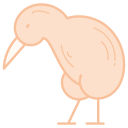 Kiwi icon
