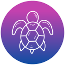 tortuga icon