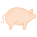 Pig icon