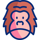 orangután icon