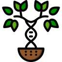 stamboom icoon