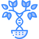Árvore genealógica 