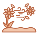 Petals 