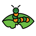 oruga icon