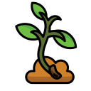 planta de semillero icon