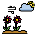 primavera icon