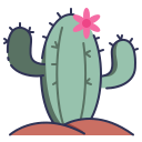 cactus icon