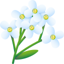 alyssum icon