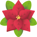 flor de pascua icon