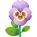 Pansy icon