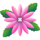 Christmas cactus flower icon