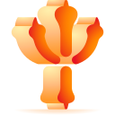 paloma icon