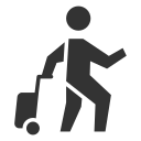 Travel icon