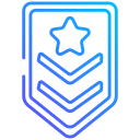 insignia icon