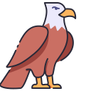 Águila 