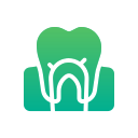 conducto radicular dental 