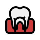 conducto radicular dental 