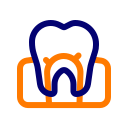 conducto radicular dental 