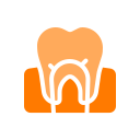 conducto radicular dental icon