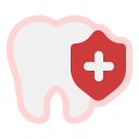 protección dental 