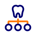 Организация 