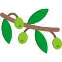 aceitunas icon