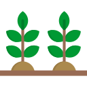 plantación icon