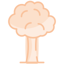 Árbol icon