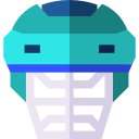 casco icon