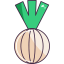 cebolla icon