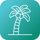 palmera icon