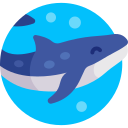 ballena azul icon