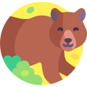 oso icon