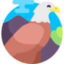 Águila calva icon