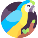 guacamayo icon