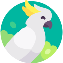 cacatúa icon