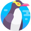 pingüino de ojos amarillos icon